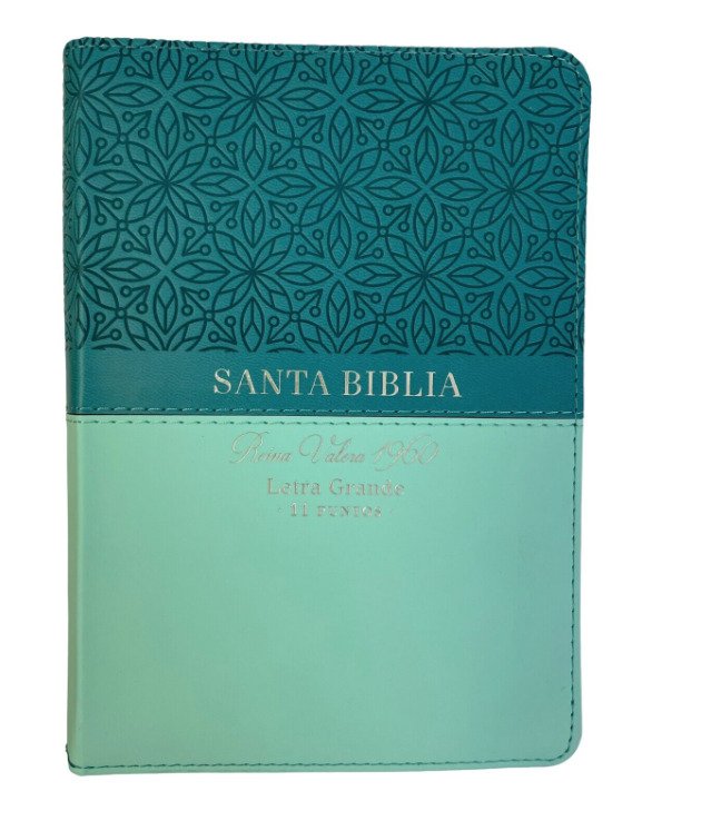 Biblia Reina Valera 1960 045 LG Bifloral Turquesa 1 Biblia Reina Valera 1960 045 LG Bifloral Turquesa