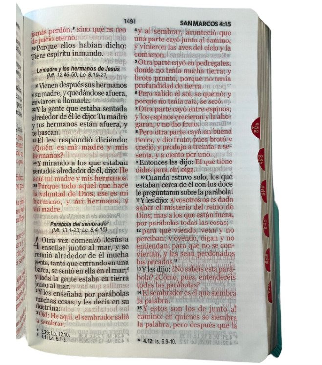 Biblia Reina Valera 1960 045 LG Bifloral Turquesa 2 Biblia Reina Valera 1960 045 LG Bifloral Turquesa - Image 2