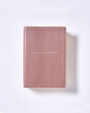 Biblia NBLA Ama a Dios Grandemente Oro Rosa