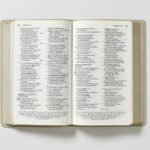 NBLA Santa Biblia Letra Grande Beige La Puerta – imagen 2