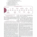 Biblia De Estudio Ryrie, Ampliada Dúo Tono Negro, RVR 1960 – imagen 3