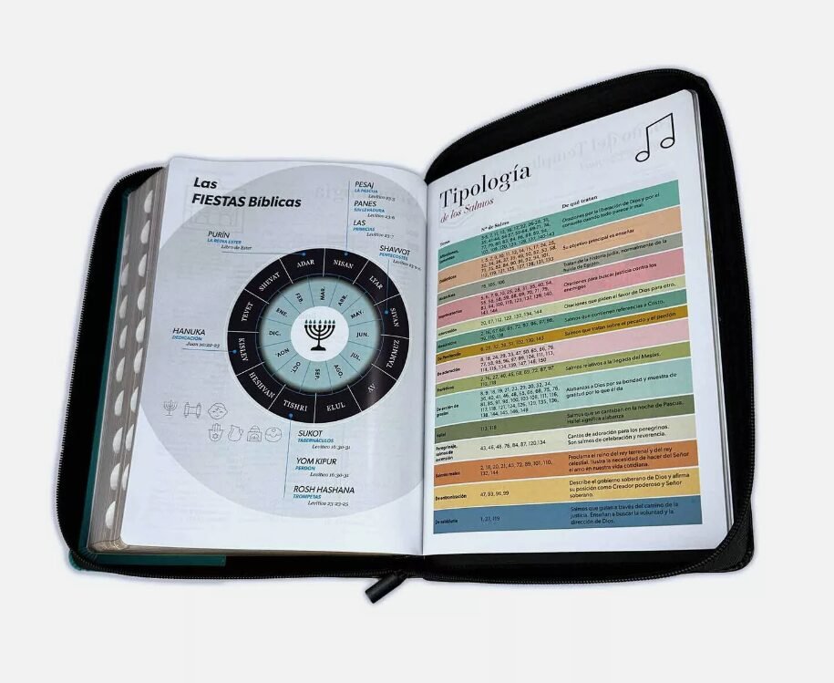 RVR60 Letra Gigante Negro/Turquesa 3 RVR60 Letra Gigante Negro/Turquesa - Image 3