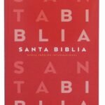 Biblia NVI Edición Excelencia Ultrafina Peniel Verde – imagen 2