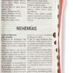 Biblia 086 letra super gigante 19 pt Rosada – imagen 2