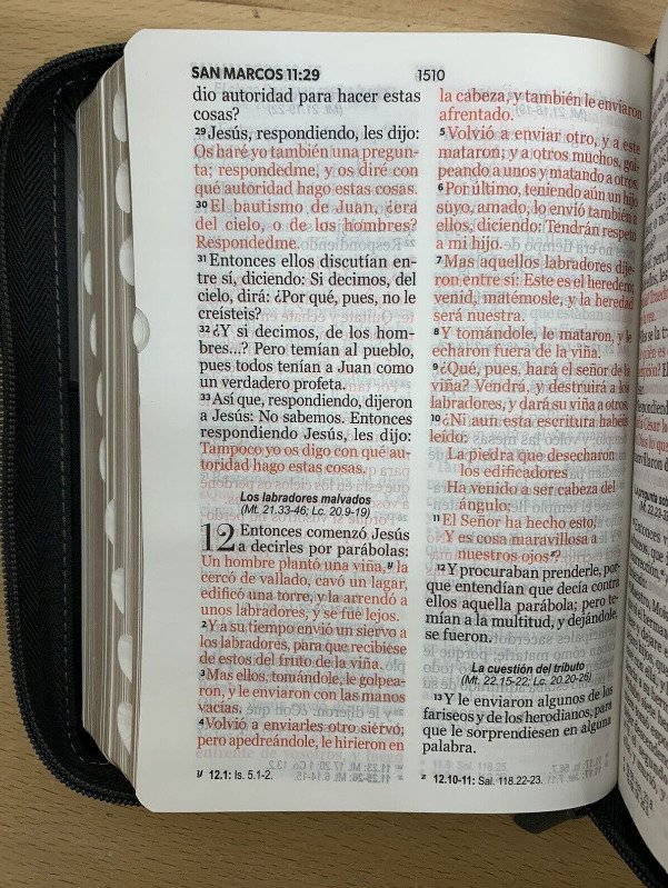 Biblia Reina Valera1960 LG Compacta Negro Gris León 3 Biblia Reina Valera1960 LG Compacta Negro Gris León - Image 3