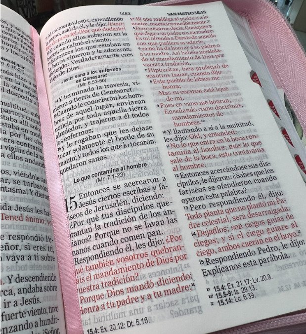 Biblia RVR60 045 LG con Índice Boho Rosa 3 Biblia RVR60 045 LG con Índice Boho Rosa - Image 3