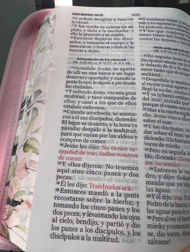 Biblia RVR60 045 LG con Índice Boho Rosa 2 Biblia RVR60 045 LG con Índice Boho Rosa - Image 2
