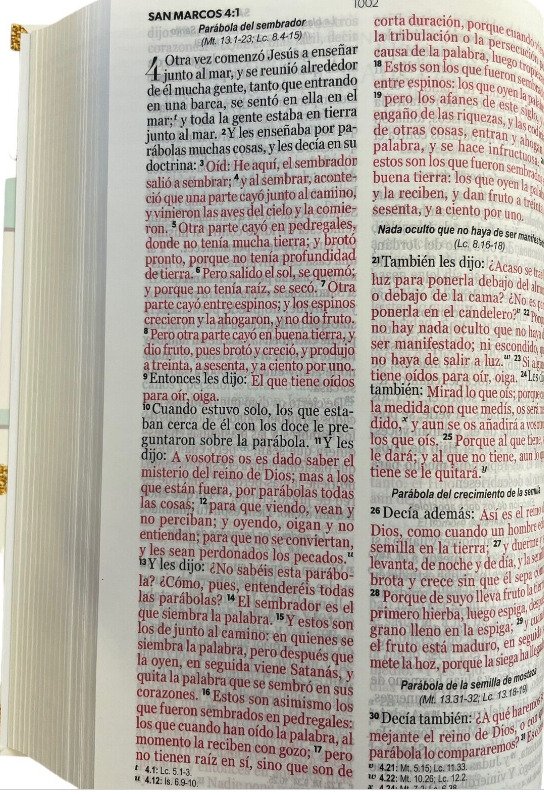 Biblia RVR60 062 LG Esferas de Fantasía 2 Biblia RVR60 062 LG Esferas de Fantasía - Image 2