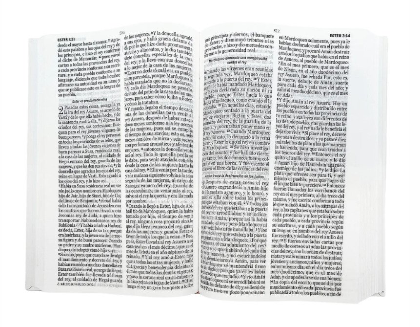 Biblia RV60 LG Flores en Invierno 2 Biblia RV60 LG Flores en Invierno - Image 2