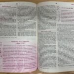 Biblia de la Mujer Conforme Corazón de Dios RVR60 – imagen 8