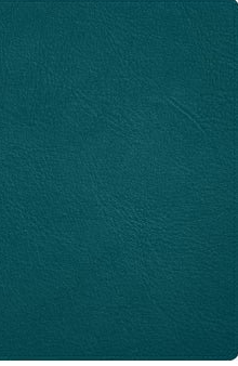 Biblia RVR60 Deluxe turquesa