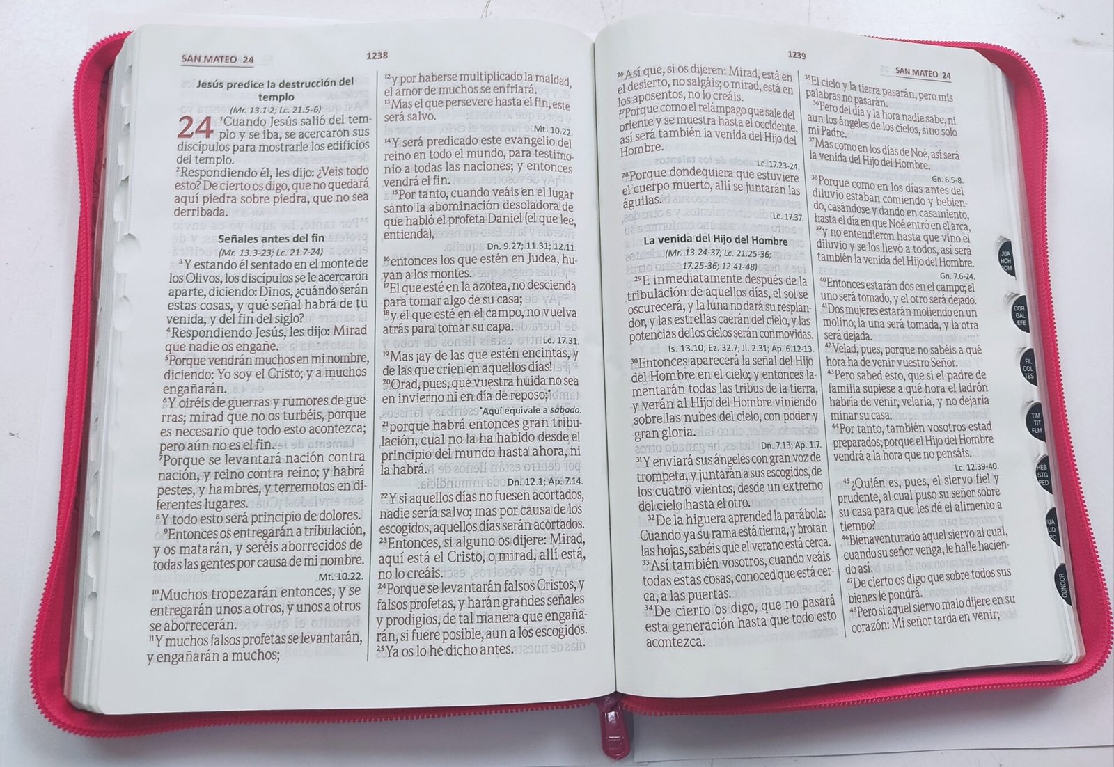 RVR60 Biblia 086 Color Fucsia Rosa/ 3 RVR60 Biblia 086 Color Fucsia Rosa/ - Image 3