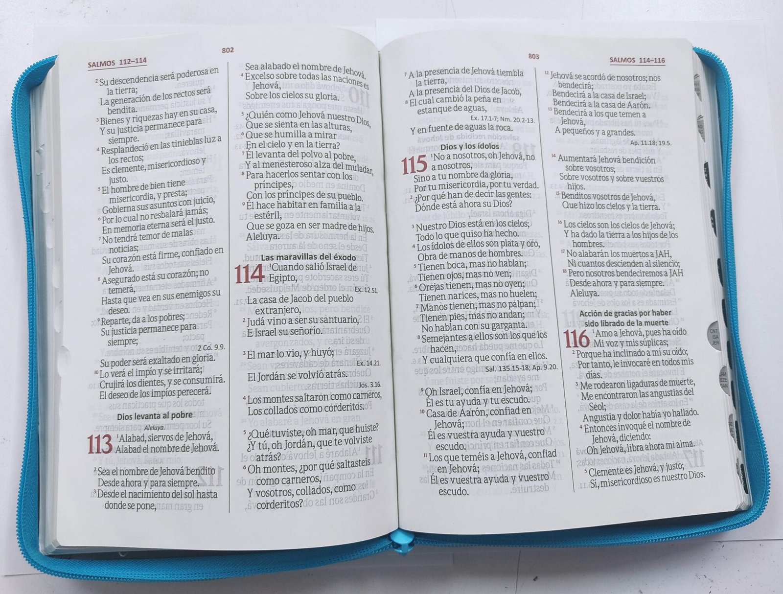 RVR60 Biblia 086 Color Azul Gris/Ayudas QR 3 RVR60 Biblia 086 Color Azul Gris/Ayudas QR - Image 3