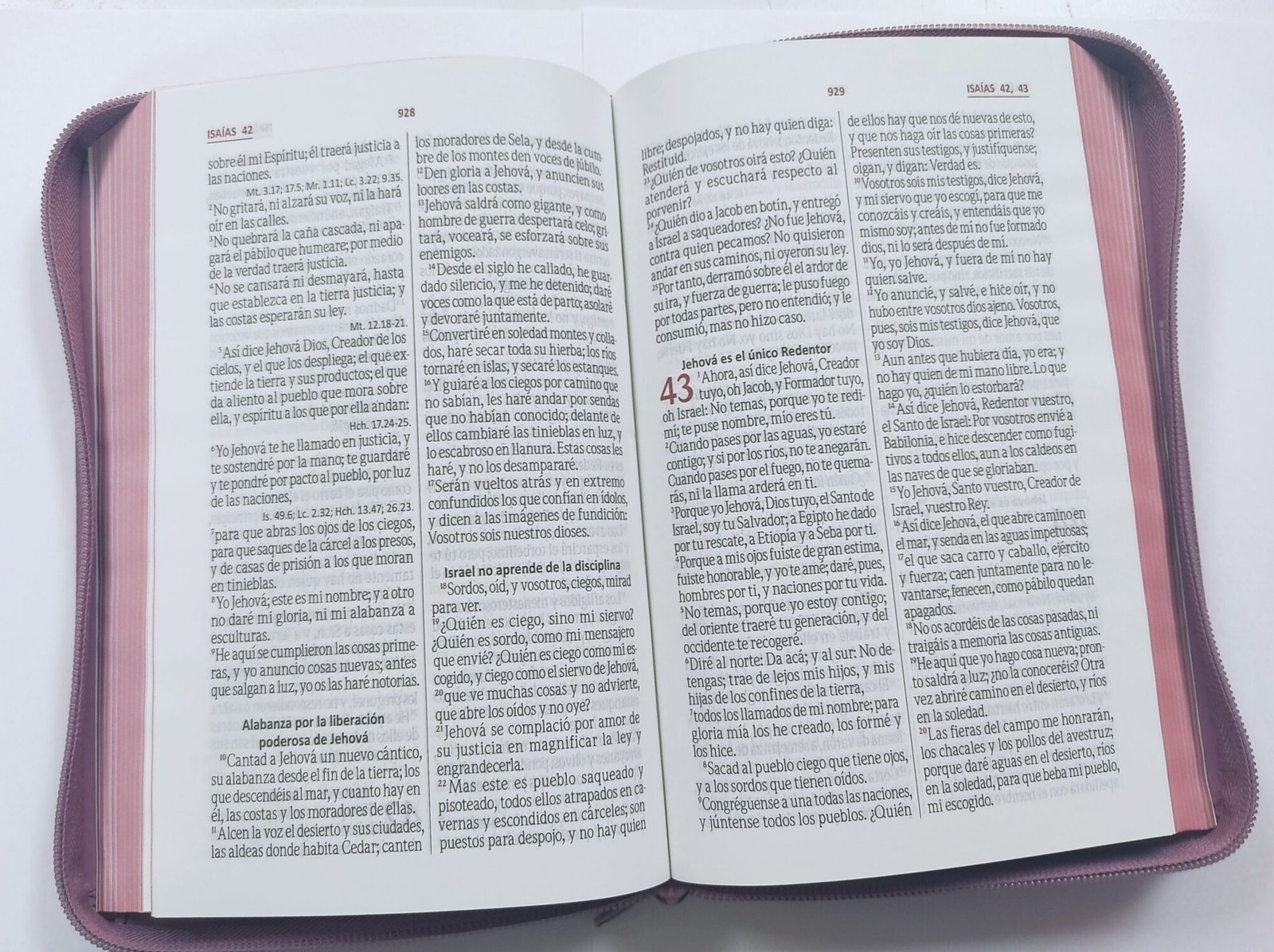 Biblia Letra Grande Con Cierre Rosada 2 Biblia Letra Grande Con Cierre Rosada - Image 2