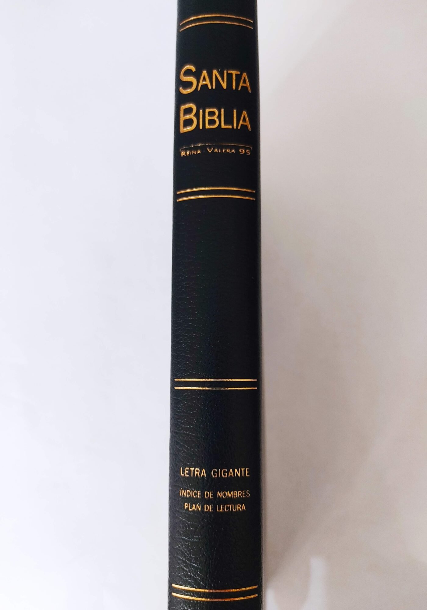 Biblia Reina Valera 1995 Piel Negro 5 Biblia Reina Valera 1995 Piel Negro - Image 5