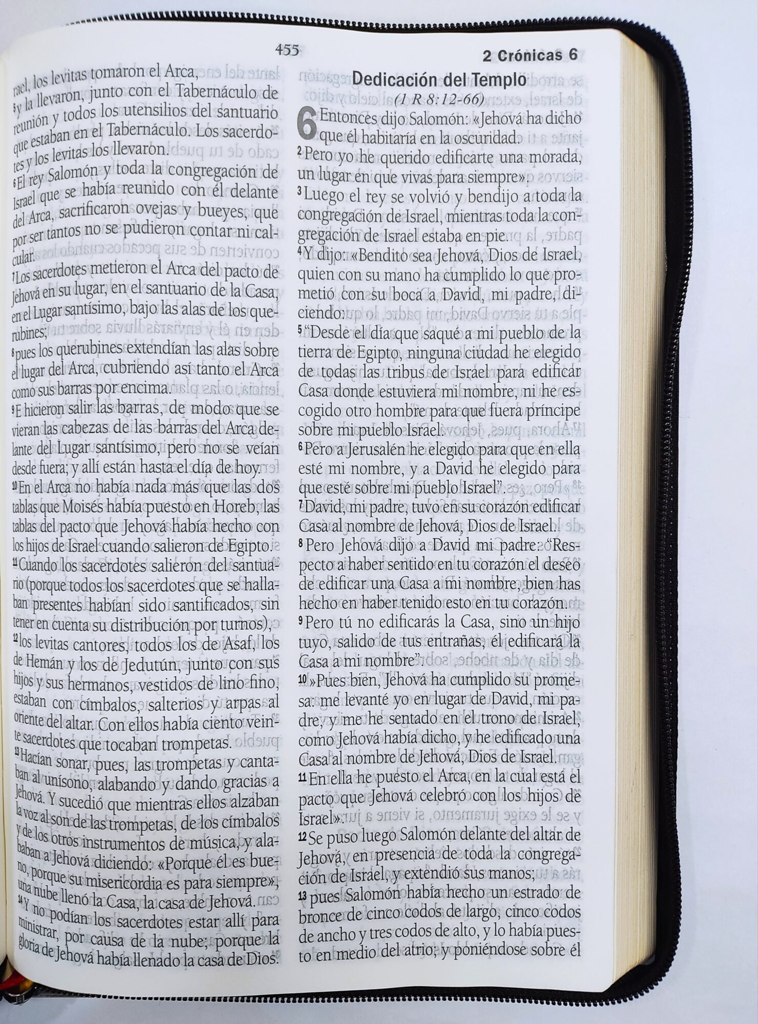 Biblia Reina Valera 1995 Piel Vinotinto 4 Biblia Reina Valera 1995 Piel Vinotinto - Image 4