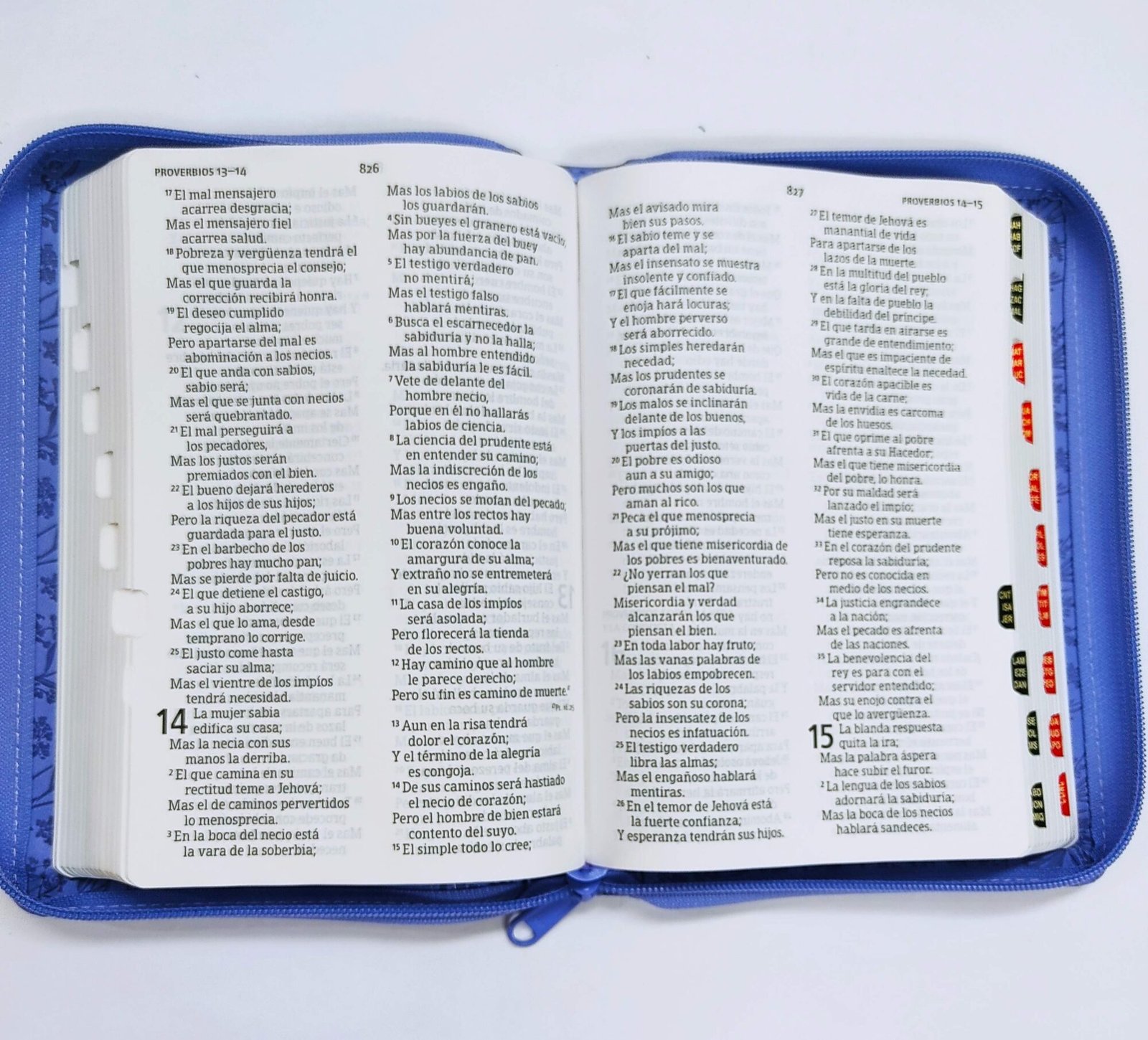 Biblia letra grande Morada, tamaño manual con referencias 4 Biblia letra grande Morada, tamaño manual con referencias - Image 4
