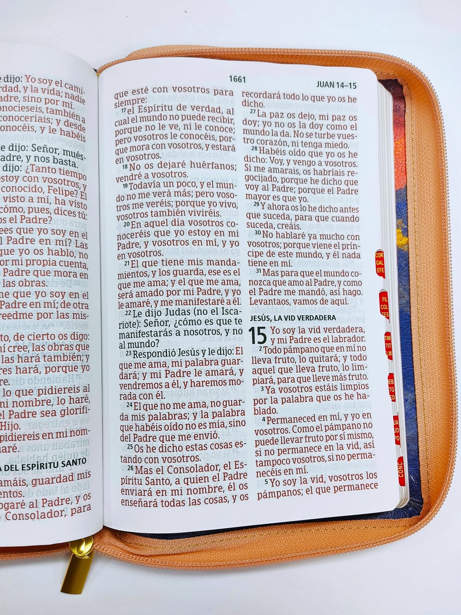 Biblia RVR 1960 Letra Gigante Multicolor, tamaño manual con referencias 3 Biblia RVR 1960 Letra Gigante Multicolor, tamaño manual con referencias - Image 3