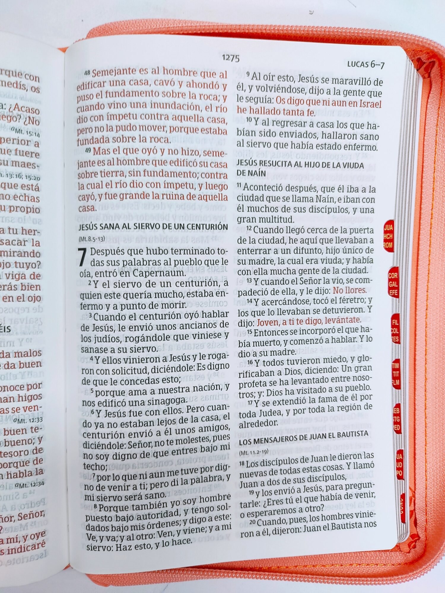 Biblia letra grande Coral, tamaño manual con referencias 3 Biblia letra grande Coral, tamaño manual con referencias - Image 3