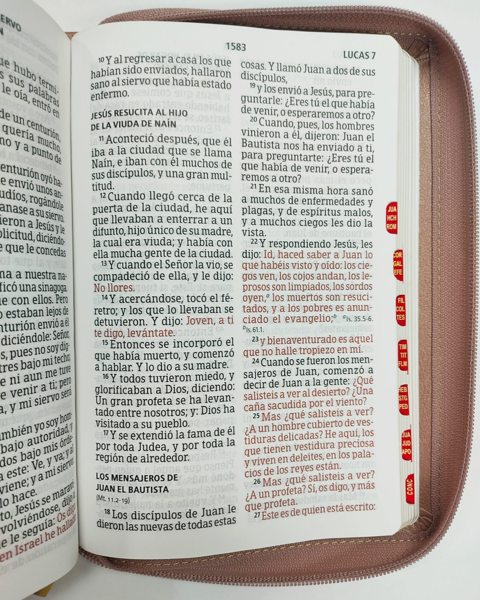 Biblia RVR 1960 Letra Gigante Rosa, tamaño manual con referencias 3 Biblia RVR 1960 Letra Gigante Rosa, tamaño manual con referencias - Image 3