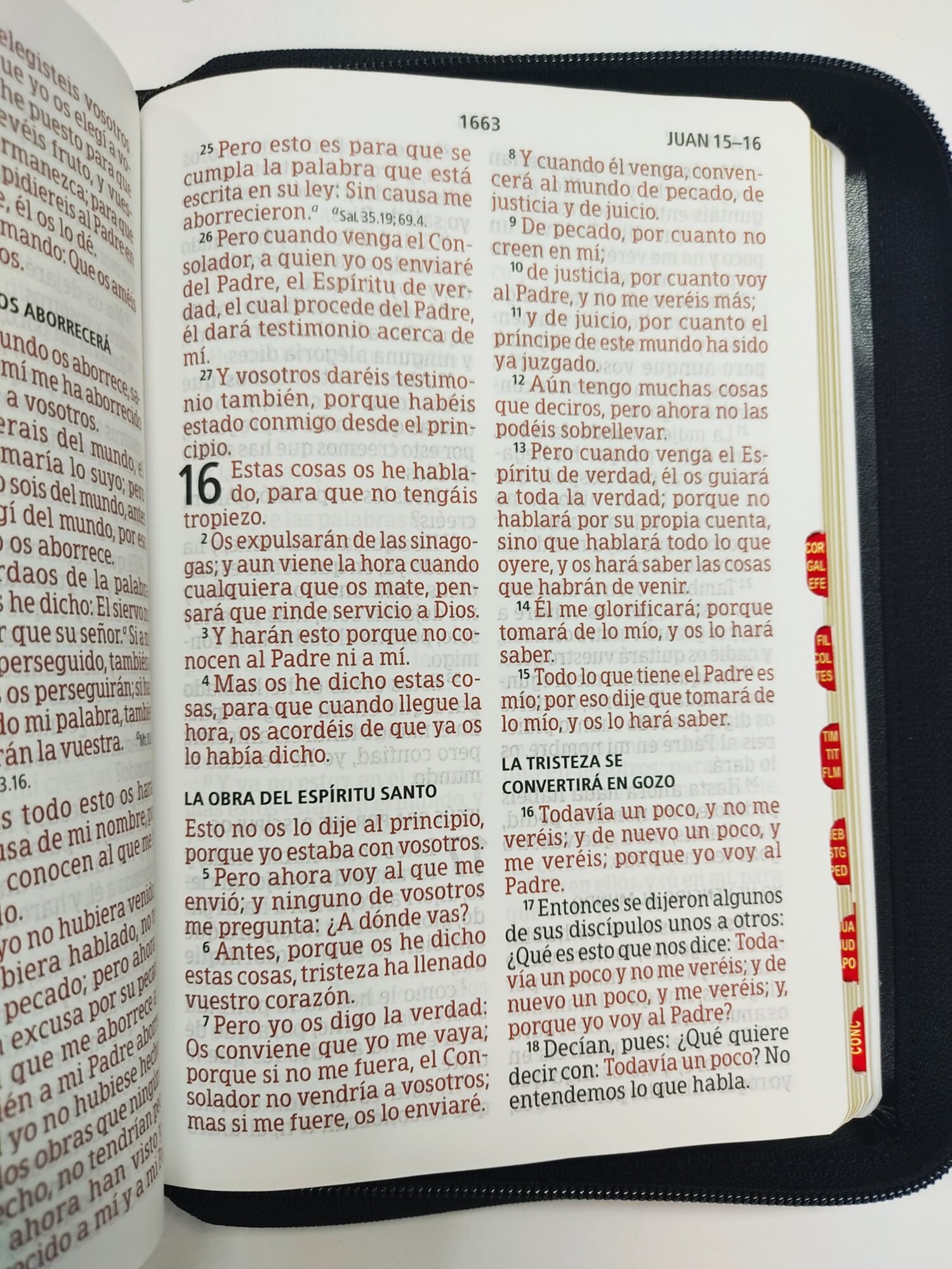 Biblia RVR 1960 Letra Gigante Negra, tamaño manual con referencias 3 Biblia RVR 1960 Letra Gigante Negra, tamaño manual con referencias - Image 3