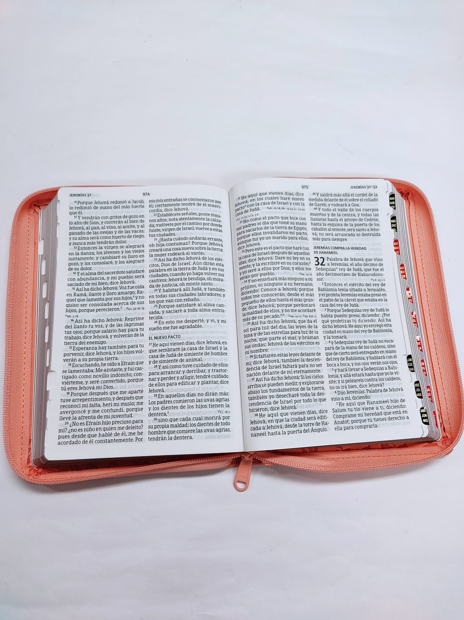 Biblia letra grande Coral, tamaño manual con referencias 4 Biblia letra grande Coral, tamaño manual con referencias - Image 4