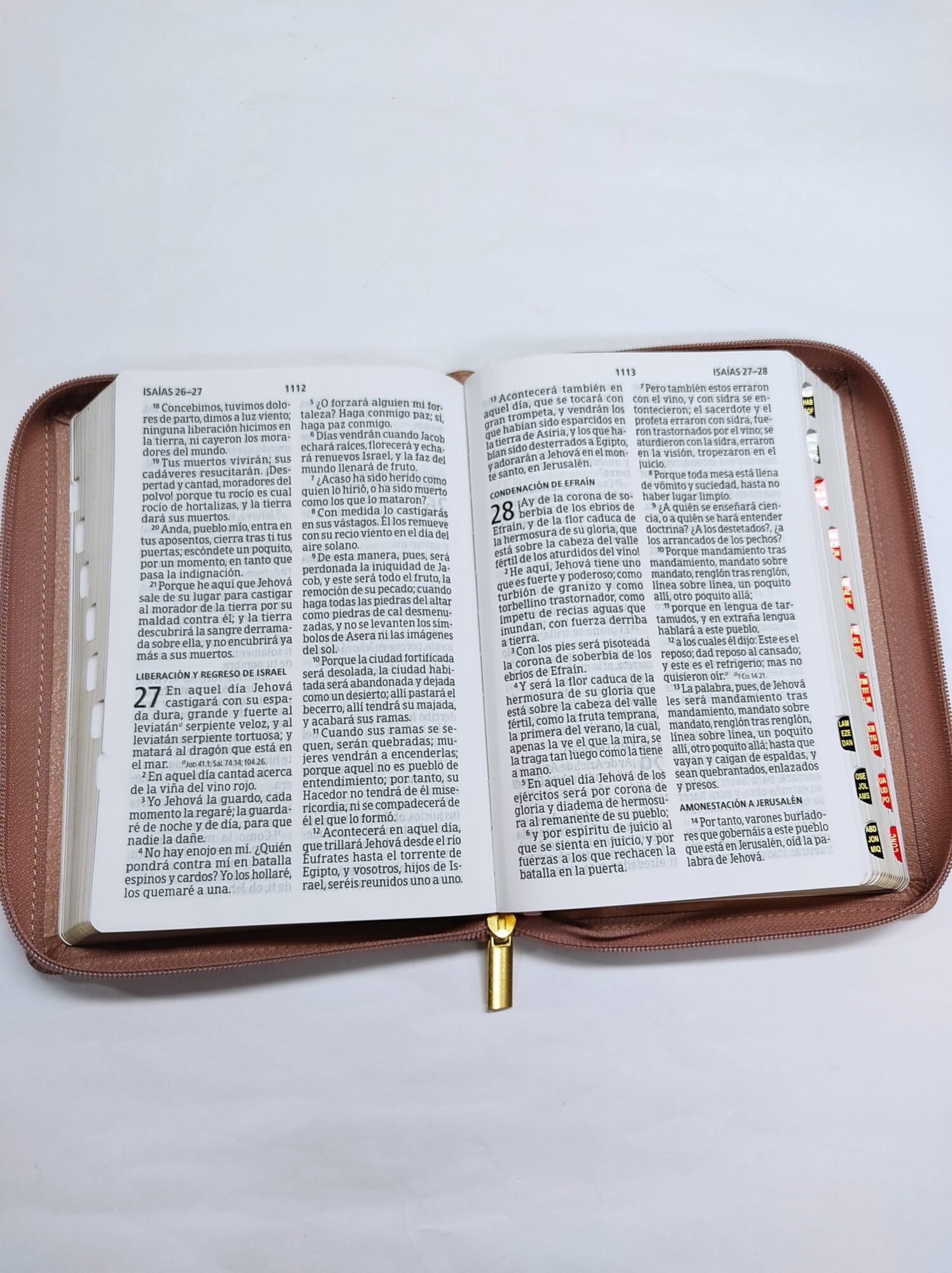 Biblia RVR 1960 Letra Gigante Rosa, tamaño manual con referencias 4 Biblia RVR 1960 Letra Gigante Rosa, tamaño manual con referencias - Image 4
