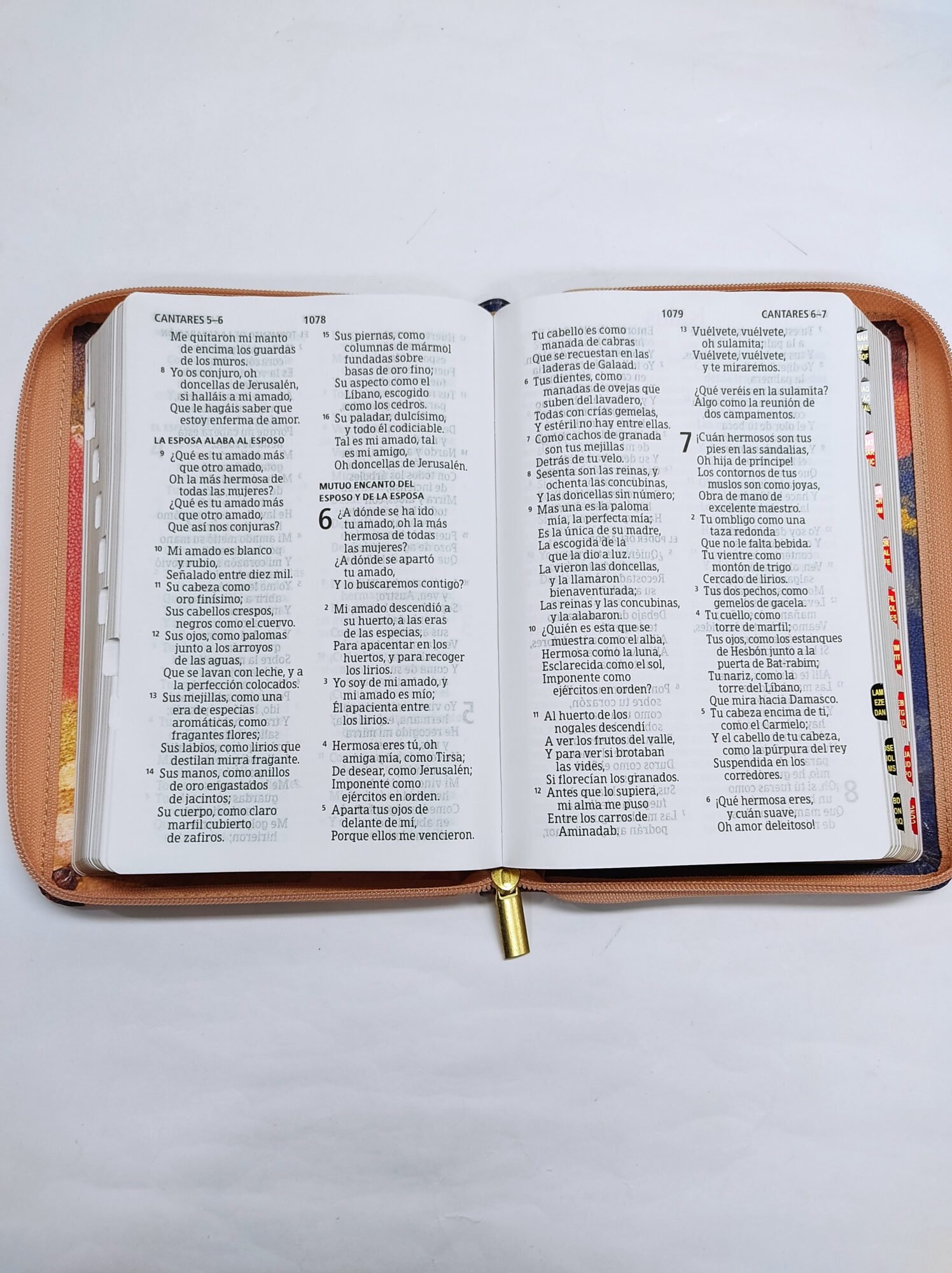 Biblia RVR 1960 Letra Gigante Multicolor, tamaño manual con referencias 4 Biblia RVR 1960 Letra Gigante Multicolor, tamaño manual con referencias - Image 4