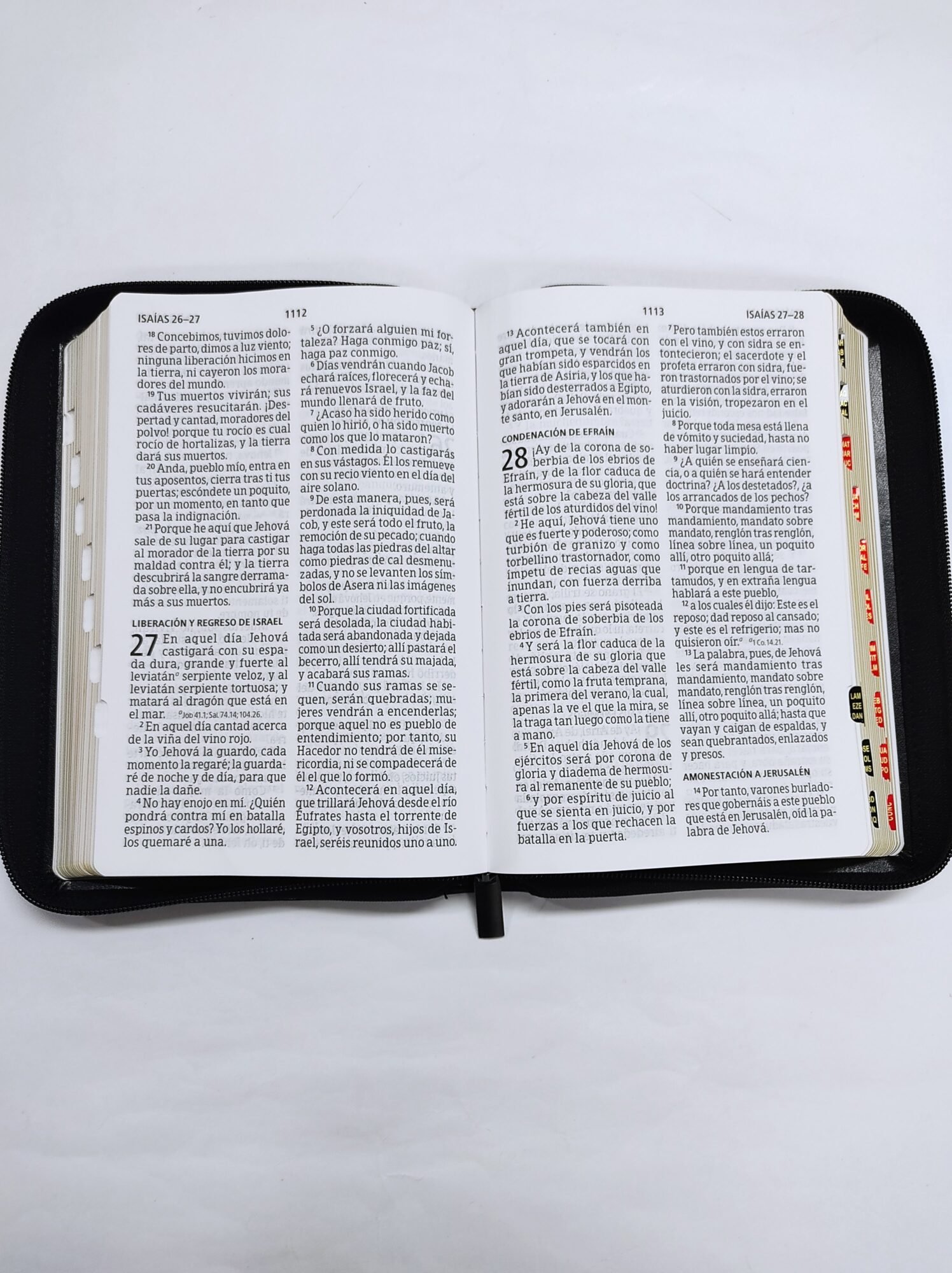 Biblia RVR 1960 Letra Gigante Negra, tamaño manual con referencias 4 Biblia RVR 1960 Letra Gigante Negra, tamaño manual con referencias - Image 4