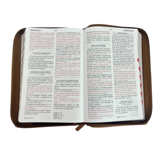 Biblia RVR60 Cafe Aguila/ Cierre Indice / Letra Grande 2 Biblia RVR60 Cafe Aguila/ Cierre Indice / Letra Grande - Image 2