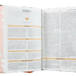 Biblia de Estudio Teológico RVR 1960 – imagen 4