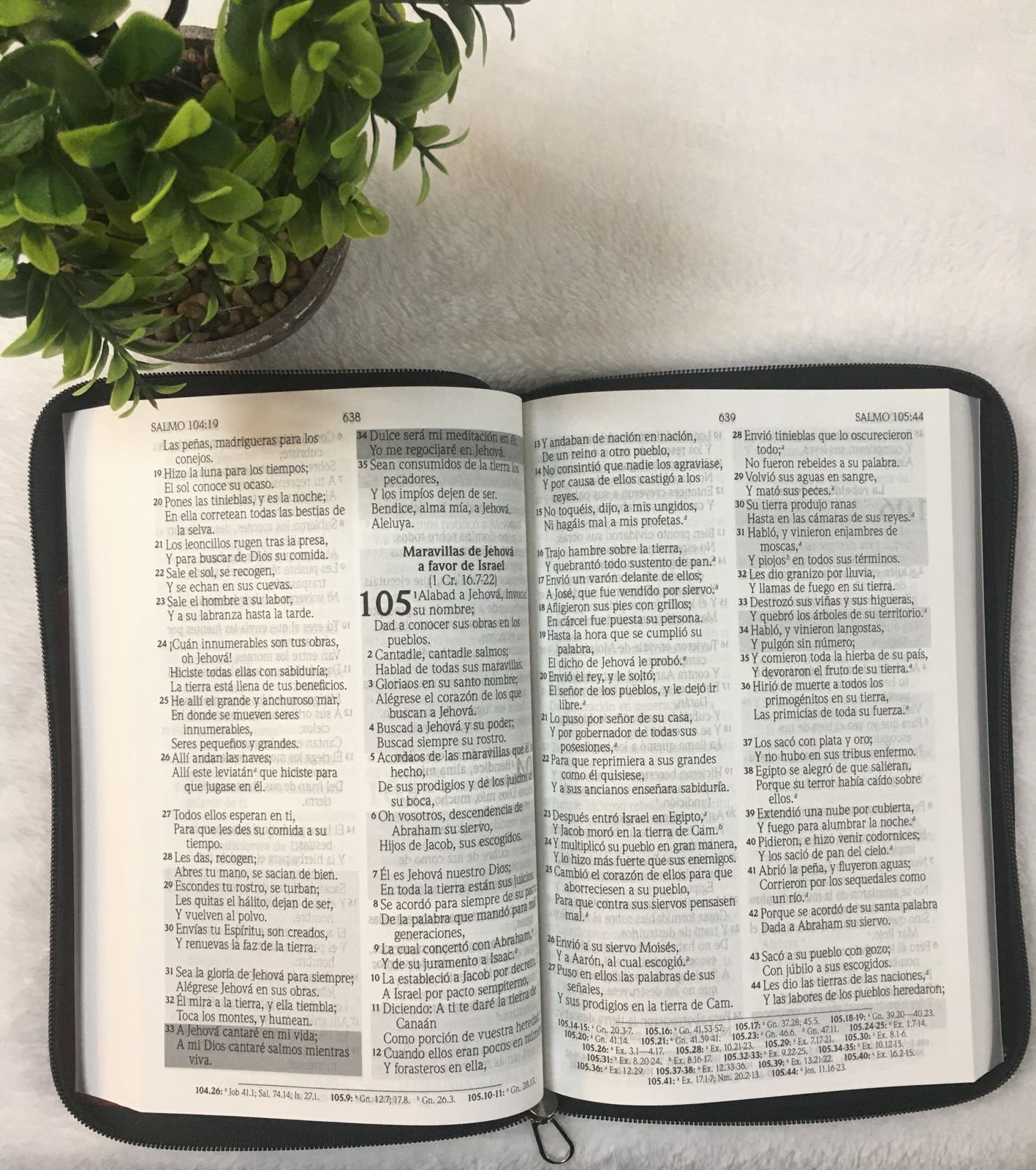 Biblia de Promesas Letra Gigante Forrada 2 Biblia de Promesas Letra Gigante Forrada - Image 2