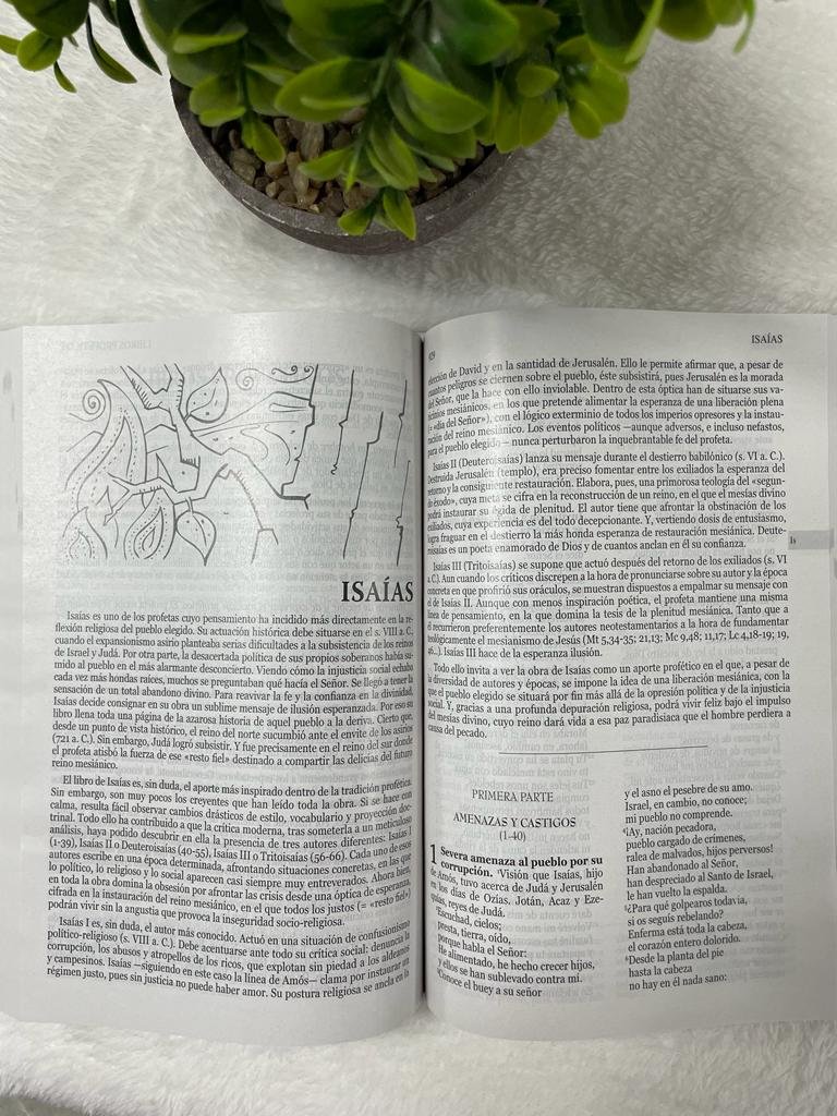 Nuestra Sagrada Biblia Misión Continental Letra Grande 5 Nuestra Sagrada Biblia Misión Continental Letra Grande - Image 5
