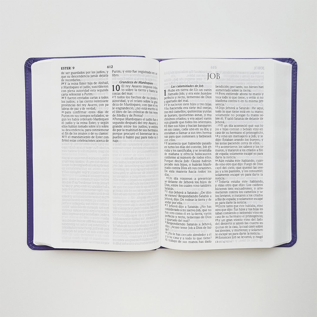 Biblia Manual Letra Grande 2 Biblia Manual Letra Grande - Image 2