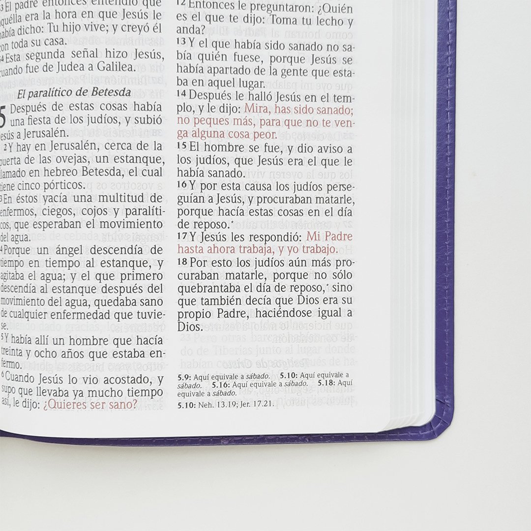 Biblia Manual Letra Grande 7 Biblia Manual Letra Grande - Image 7