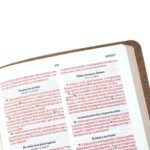 Biblia NVI/Marrón Letra 8 Puntos – imagen 4