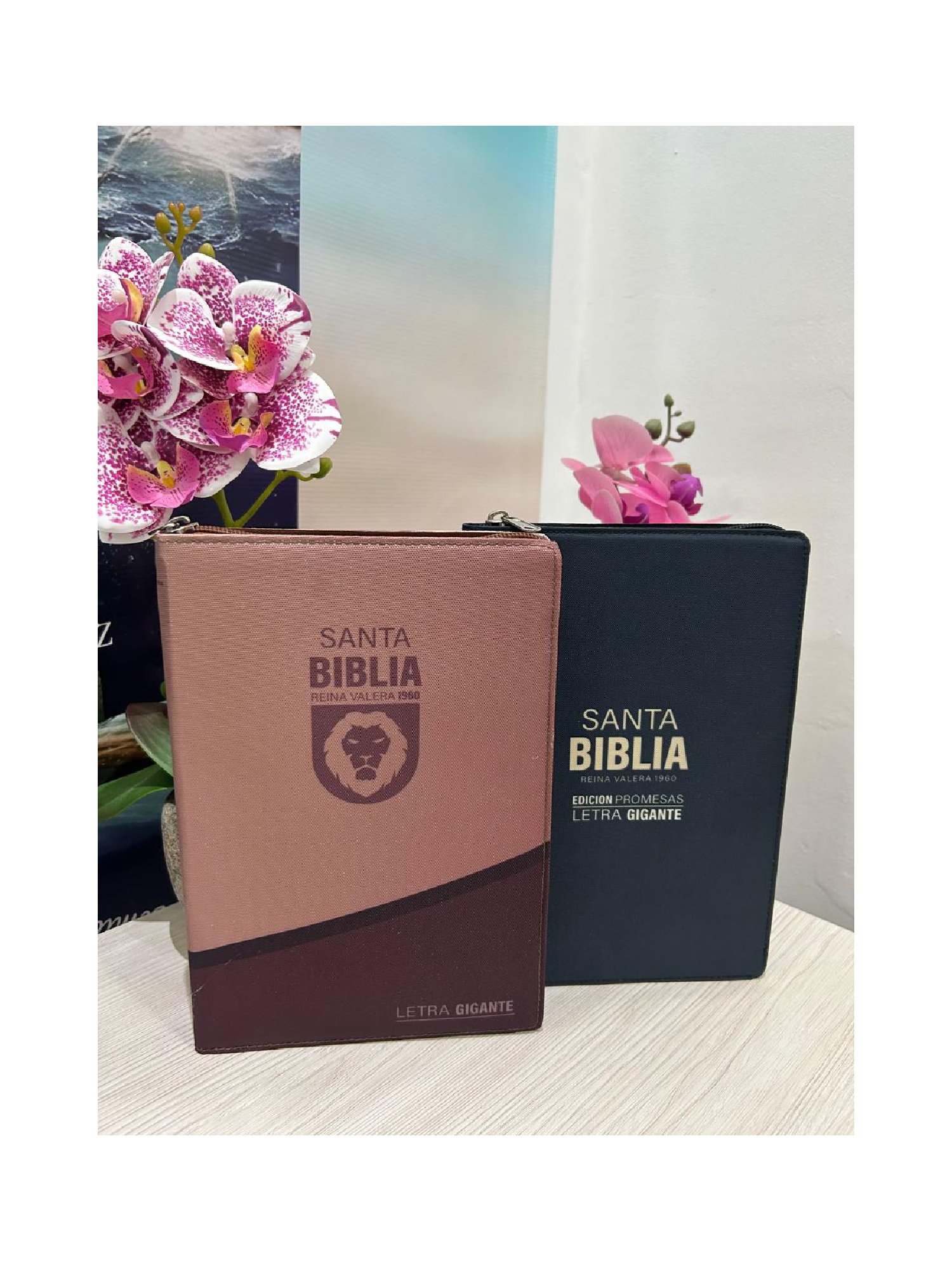 Biblia de Promesas Letra Gigante con Índice 6 Biblia de Promesas Letra Gigante con Índice - Image 6