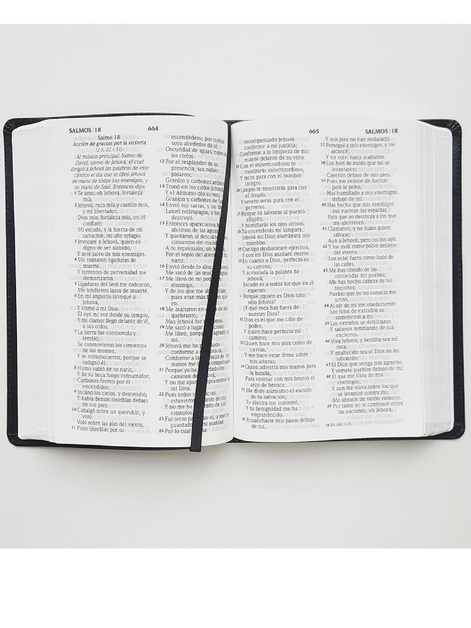 Biblia RVR1960 Letra Grande /Imitación Negro 3 Biblia RVR1960 Letra Grande /Imitación Negro - Image 3