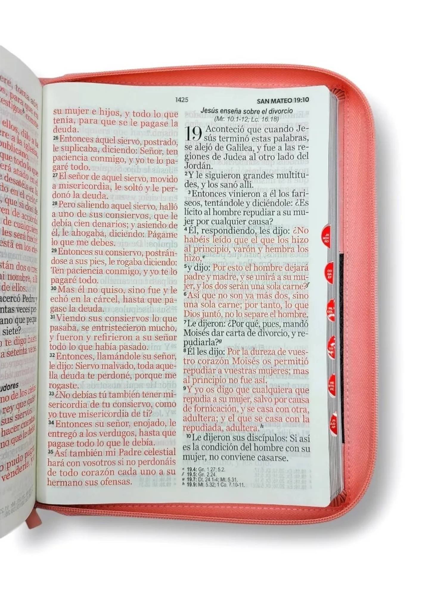 Biblia RVR 1960 Letra Súper Gigante Rosa Café 3 Biblia RVR 1960 Letra Súper Gigante Rosa Café - Image 3