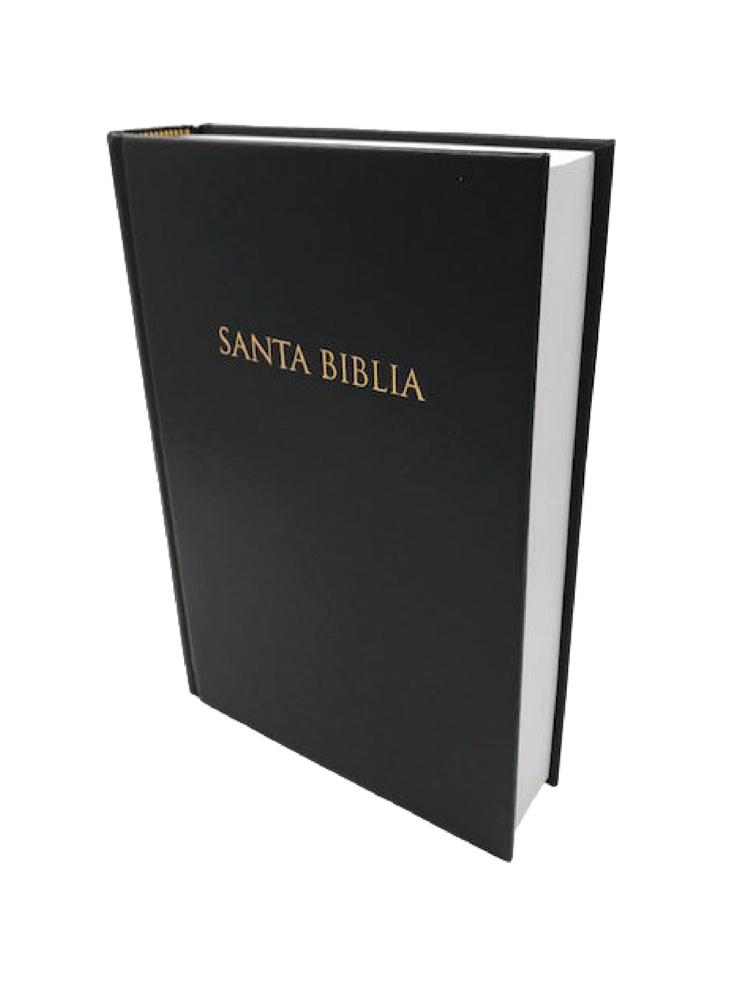 Biblia/RVR/Regalos Y Premios/Tapa Dura/Negro 2 Biblia/RVR/Regalos Y Premios/Tapa Dura/Negro - Image 2