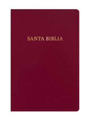 Biblia RVR60/ Letra Gigante/ Borgoña Imitacion Piel Ed.2023