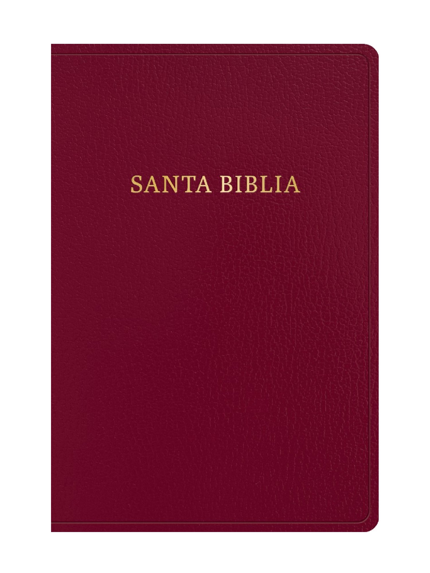 Biblia RVR60/ Letra Gigante/ Borgoña Piel 1 Biblia RVR60/ Letra Gigante/ Borgoña Piel