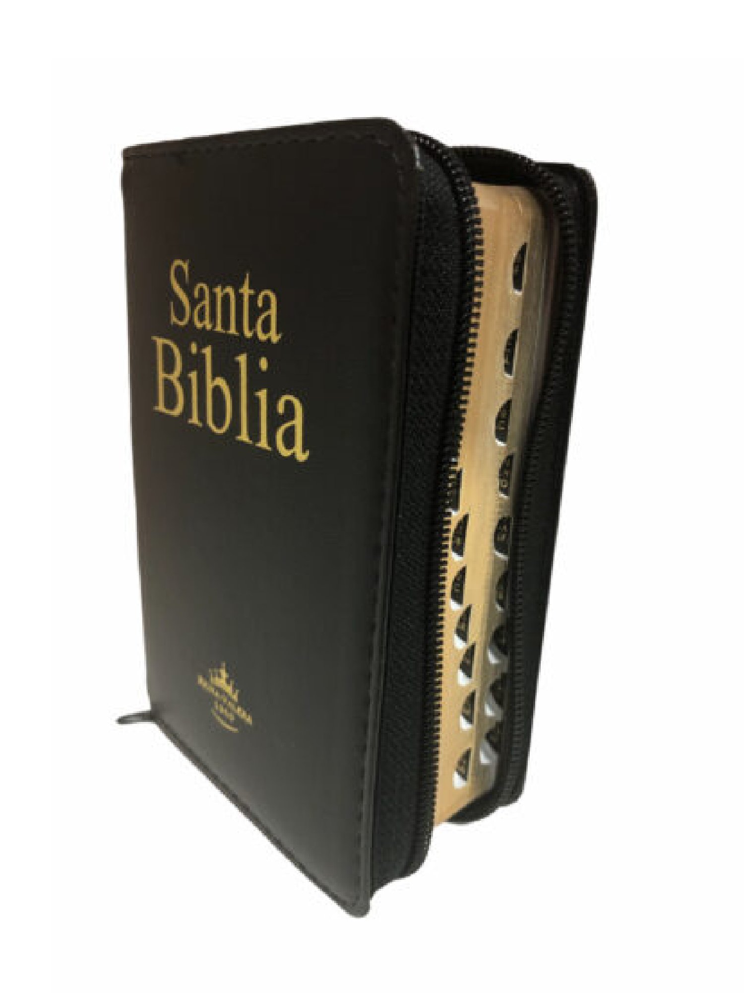Biblia RVR60 Letra Grande Acolchada negra 2 Biblia RVR60 Letra Grande Acolchada negra - Image 2