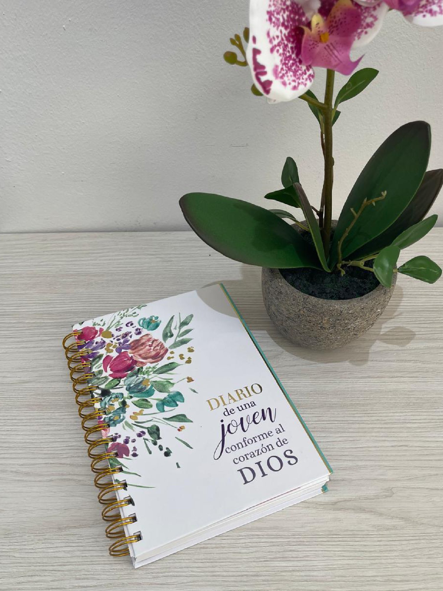 Diario de una joven conforme al corazón de Dios 1 Diario de una joven conforme al corazón de Dios