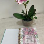 Diario de una joven conforme al corazón de Dios – imagen 3