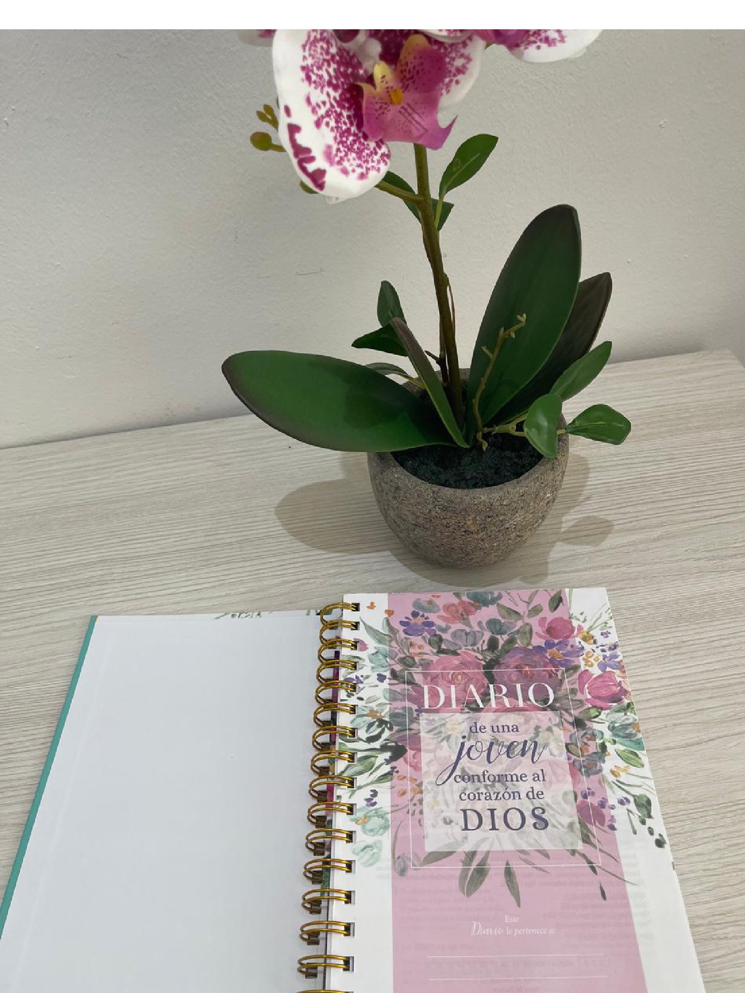 Diario de una joven conforme al corazón de Dios 3 Diario de una joven conforme al corazón de Dios - Image 3