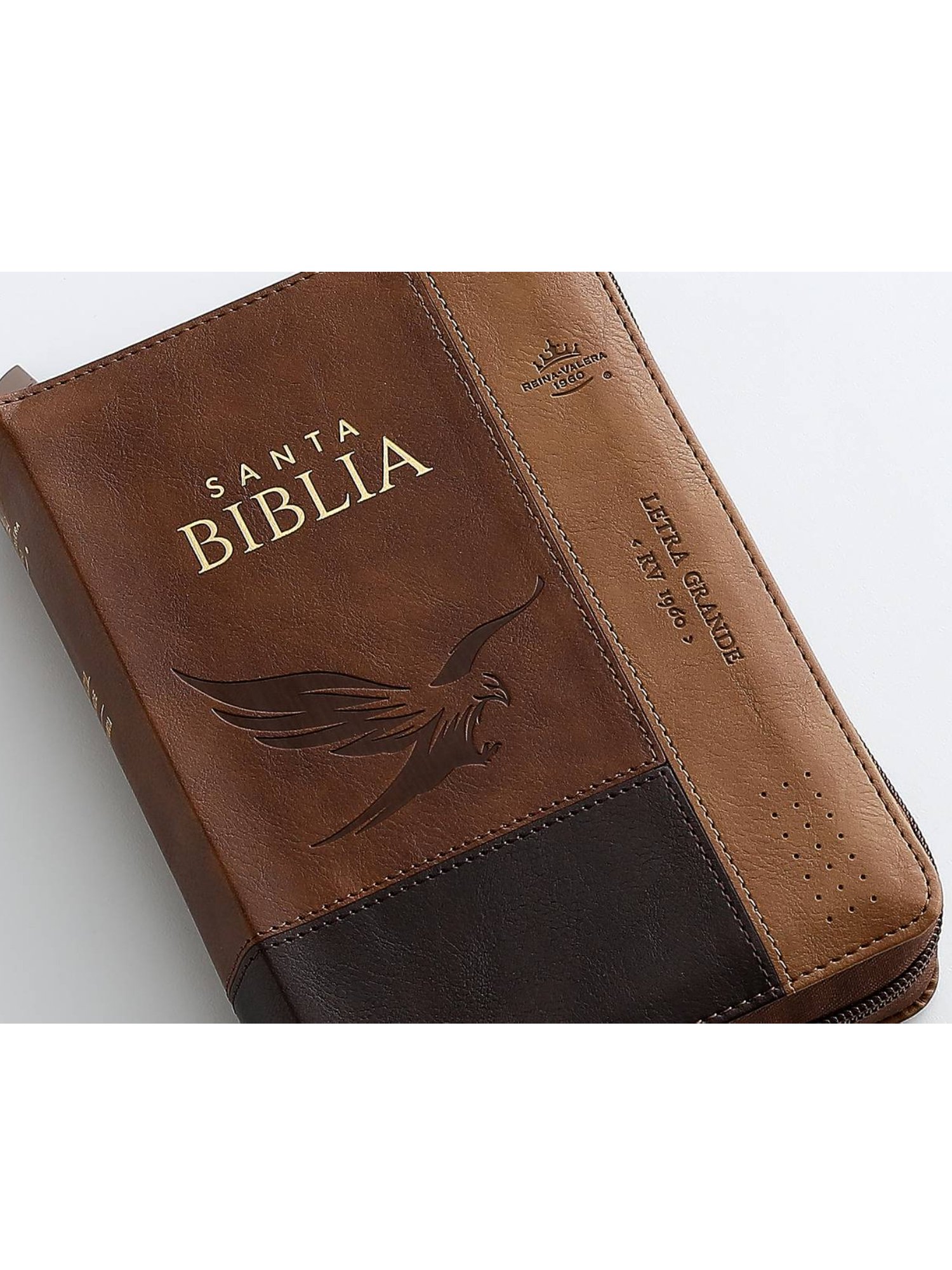 Biblia RVR1960 Sentí Piel Tricolor Café, Café Oscuro, Café Águila 4 Biblia RVR1960 Sentí Piel Tricolor Café, Café Oscuro, Café Águila - Image 4