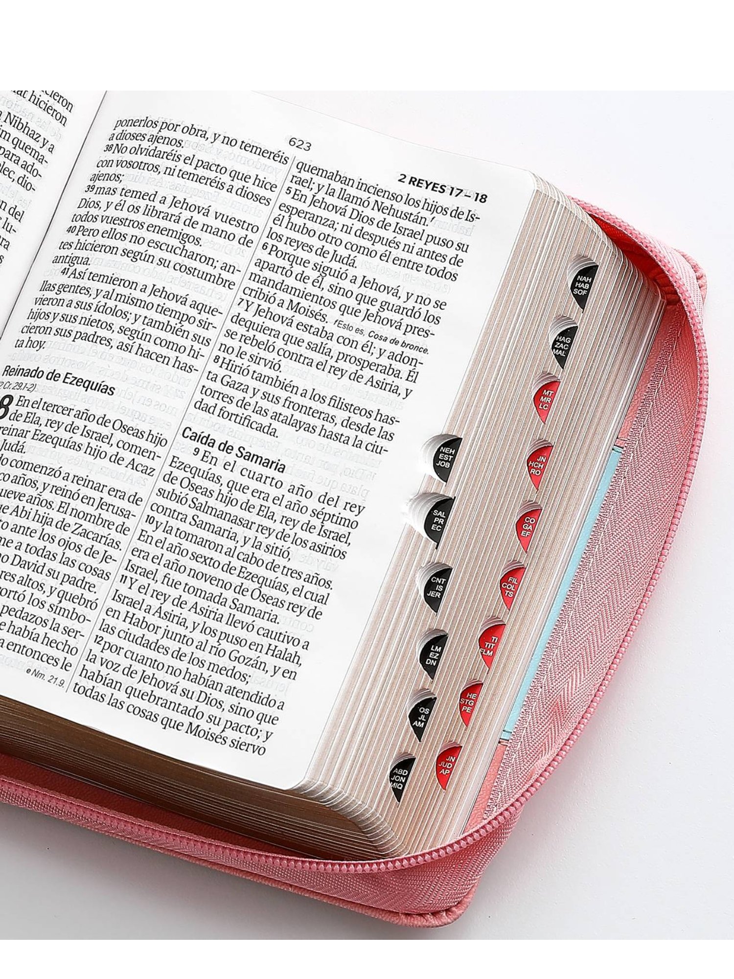 Biblia RVR1960 Sentí Piel Bicolor Rosa, Azul 3 Biblia RVR1960 Sentí Piel Bicolor Rosa, Azul - Image 3