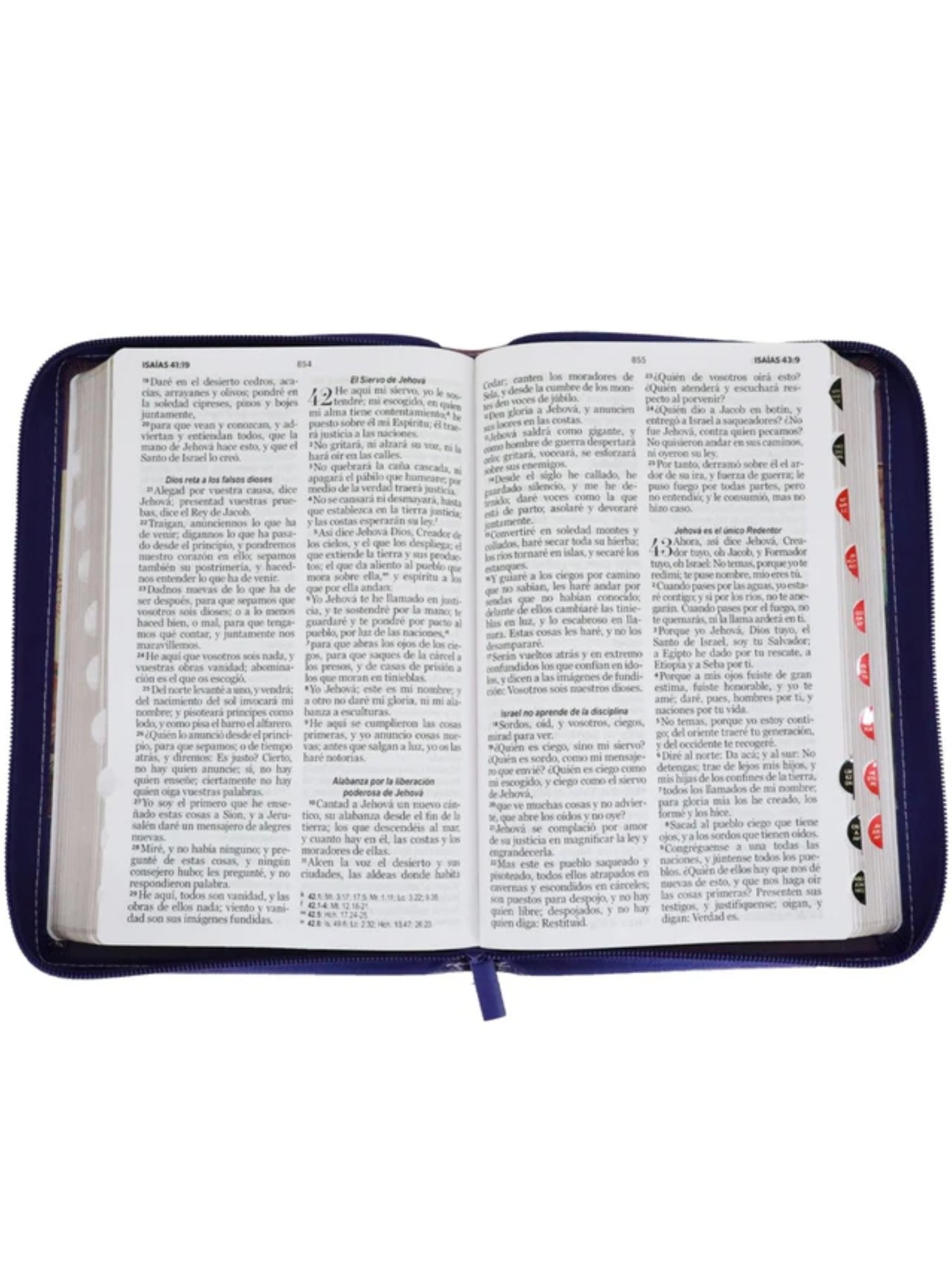 Biblia RVR1960 Tricolor Fantasía Lila, Morado 2 Biblia RVR1960 Tricolor Fantasía Lila, Morado - Image 2