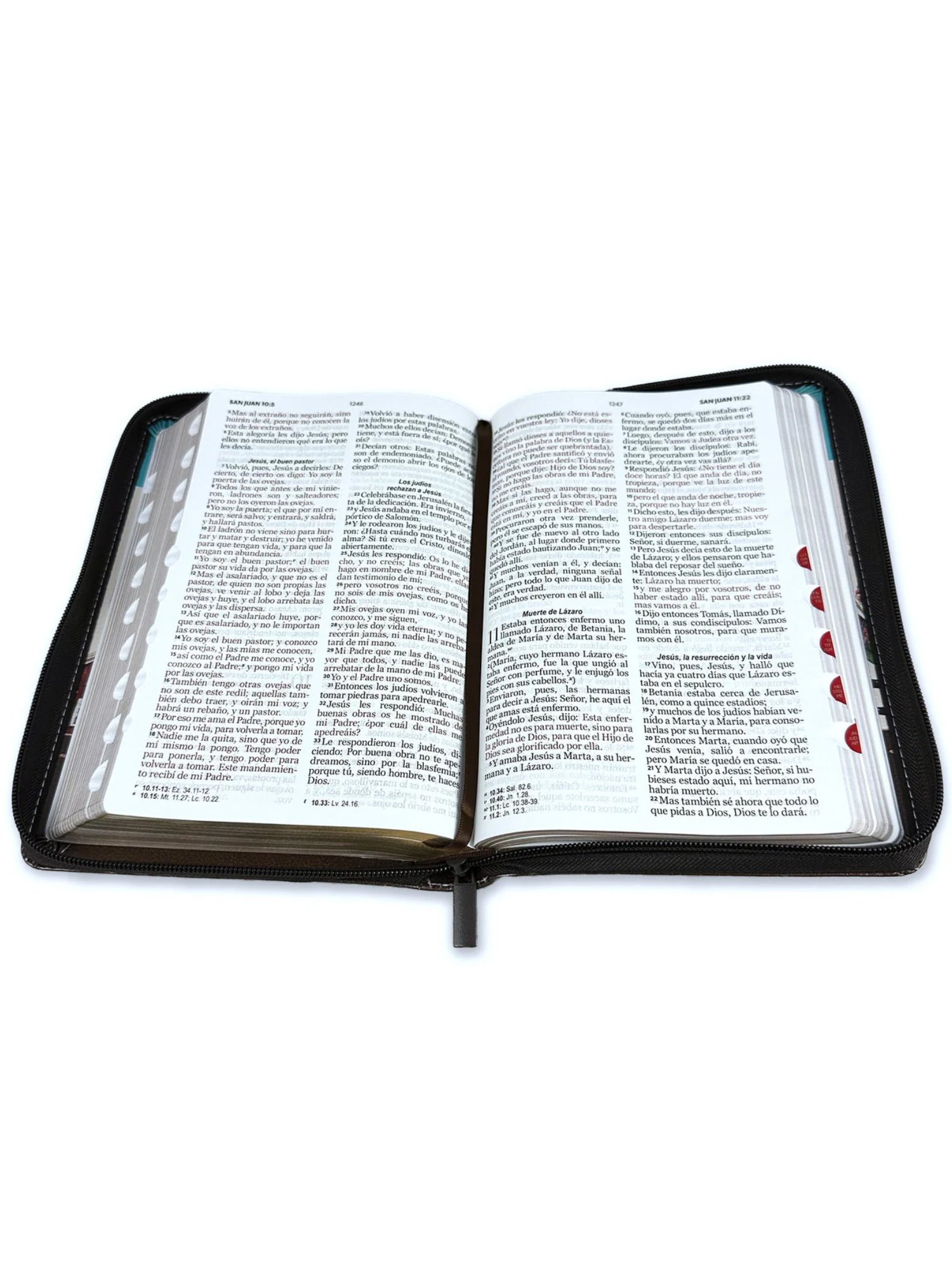 Biblia RVR tricolor fantasia turquesa 4 Biblia RVR tricolor fantasia turquesa - Image 4